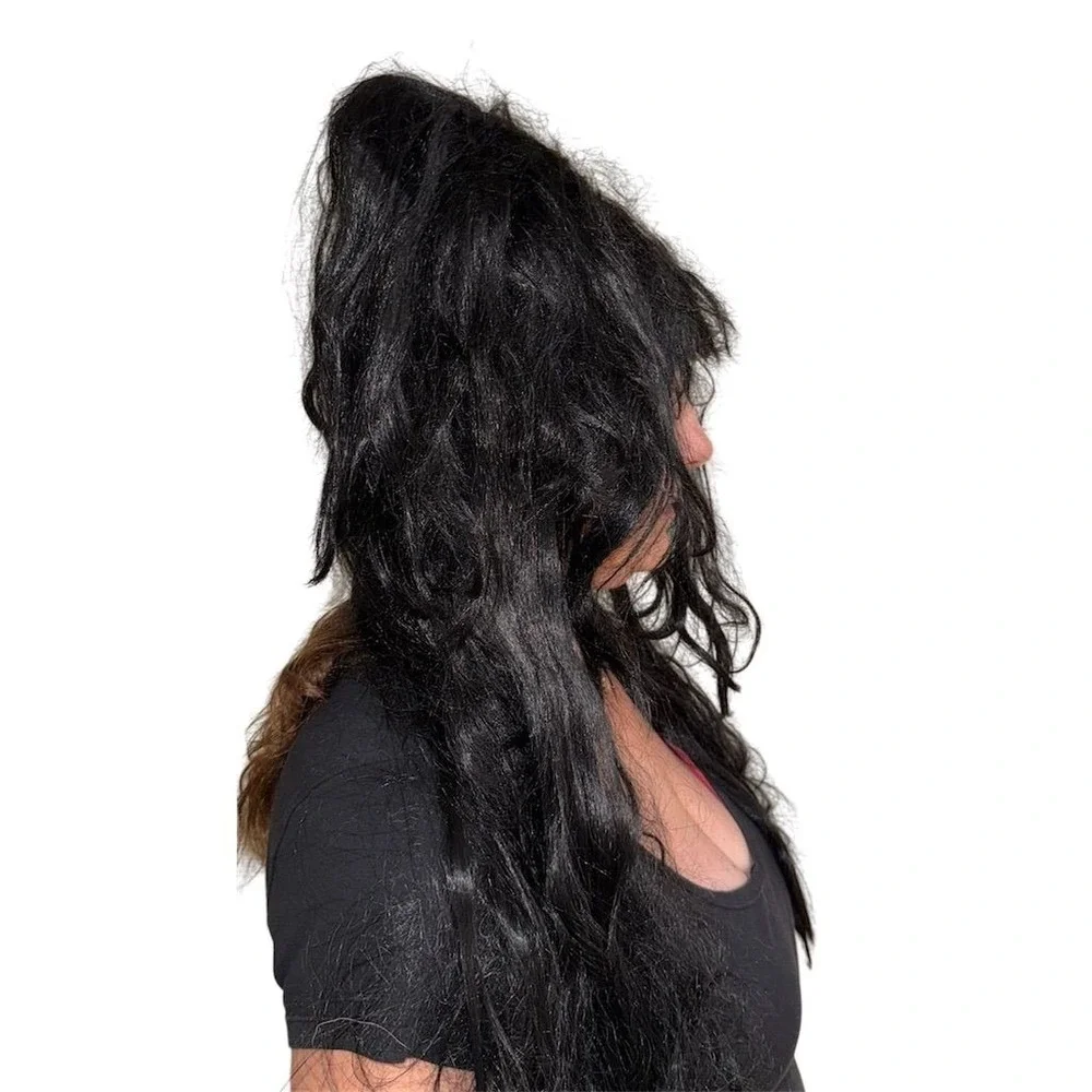 Elvira Mistress of the Dark Wig Halloween Costume Accessory Black needs brushing